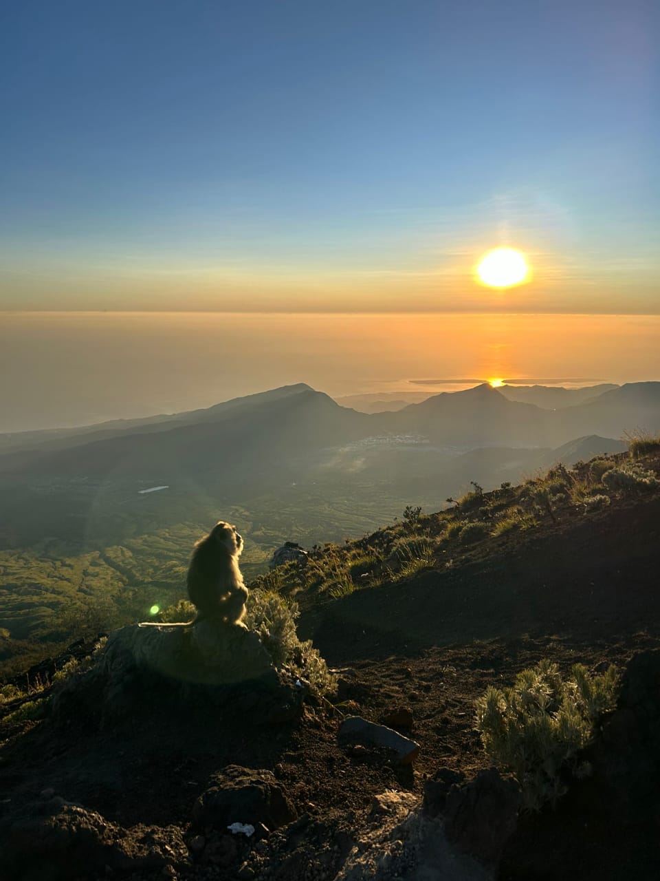 Rinjani 18